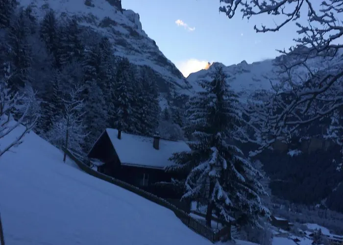 Gruenegg アパート