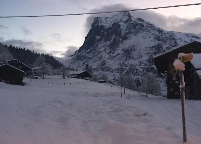 Gruenegg アパート *